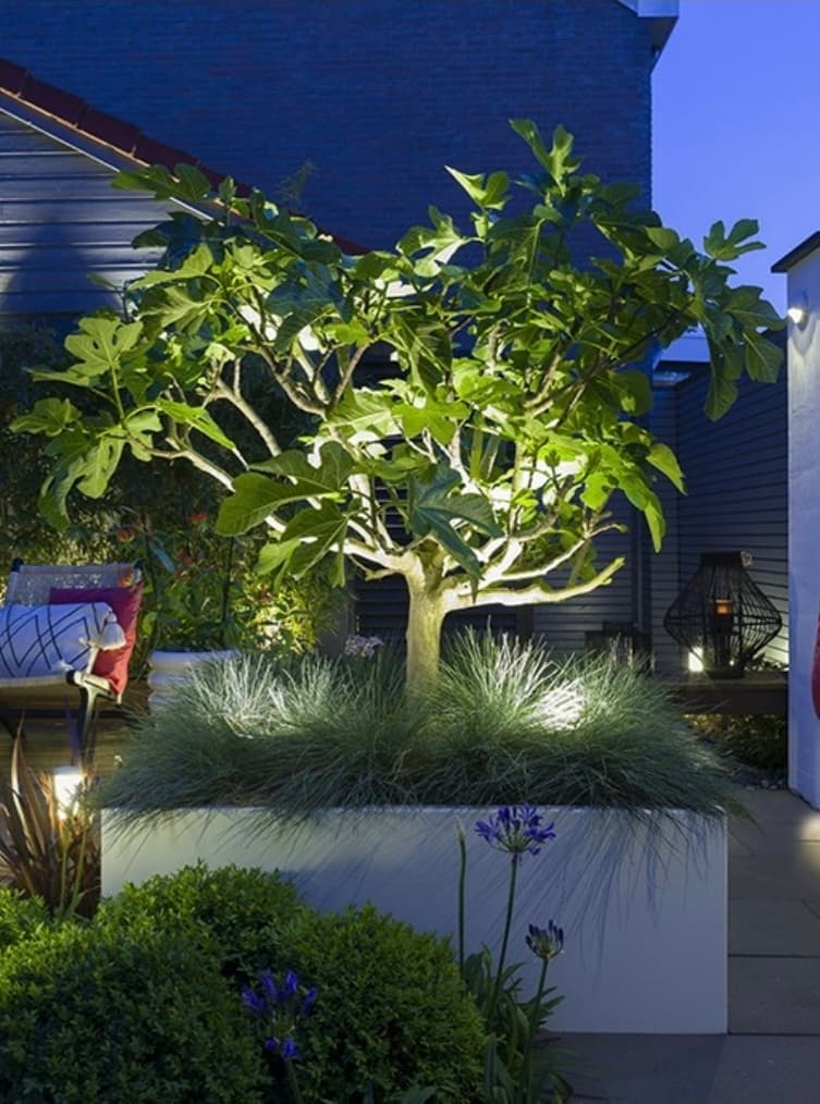 Garden Spotlights